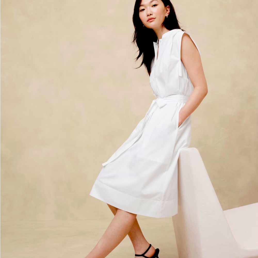 NWT BANANA REPUBLIC POPLIN DRESS. NON SMOKING HOME. BRAND NEW. DOES NOT FIT.